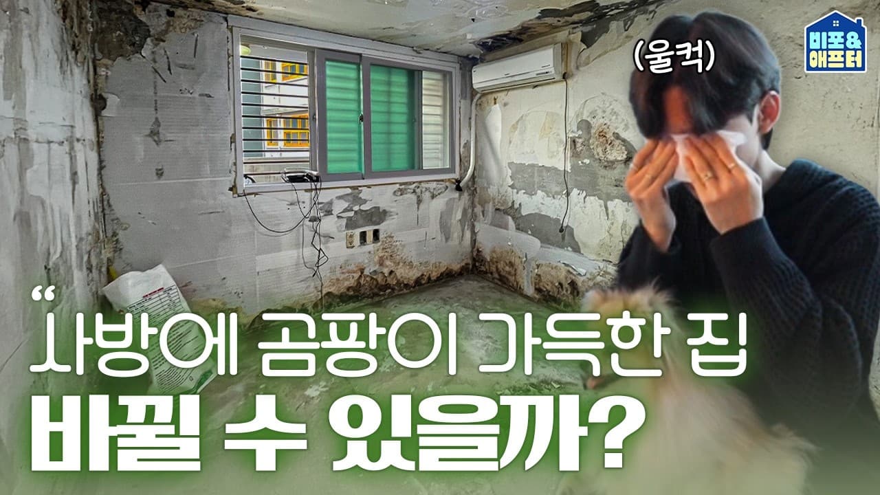  여기도 저기도 곰팡이가 점령한😨 10평 반지하 자립청년의 집을 바꿔드렸습니다 | 비포애프터 ep.82
